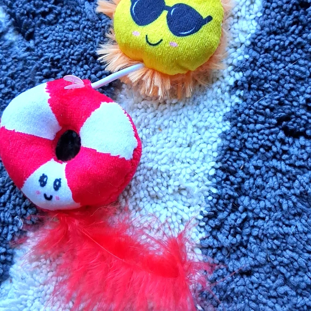 Sun And Feather Fishing pole cat Toy